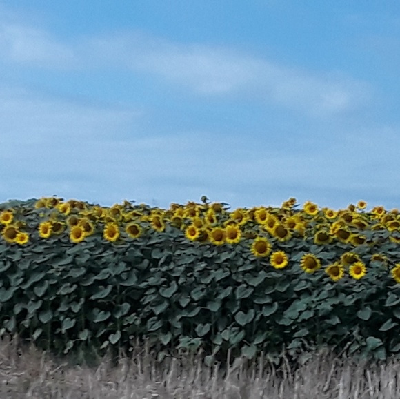 Meet your Posher, Christy - Picture 5 of 10